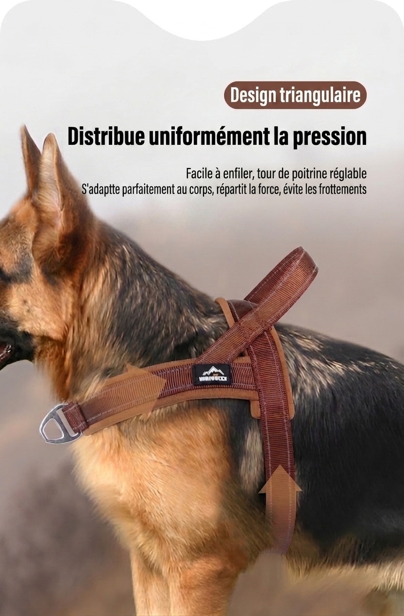 Harnais pour chien rembourré, réfléchissant et anti-traction - Réglable et respirant