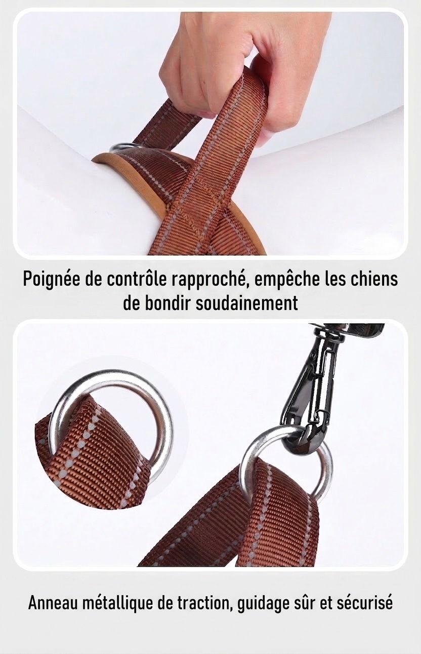 Harnais pour chien rembourré, réfléchissant et anti-traction - Réglable et respirant