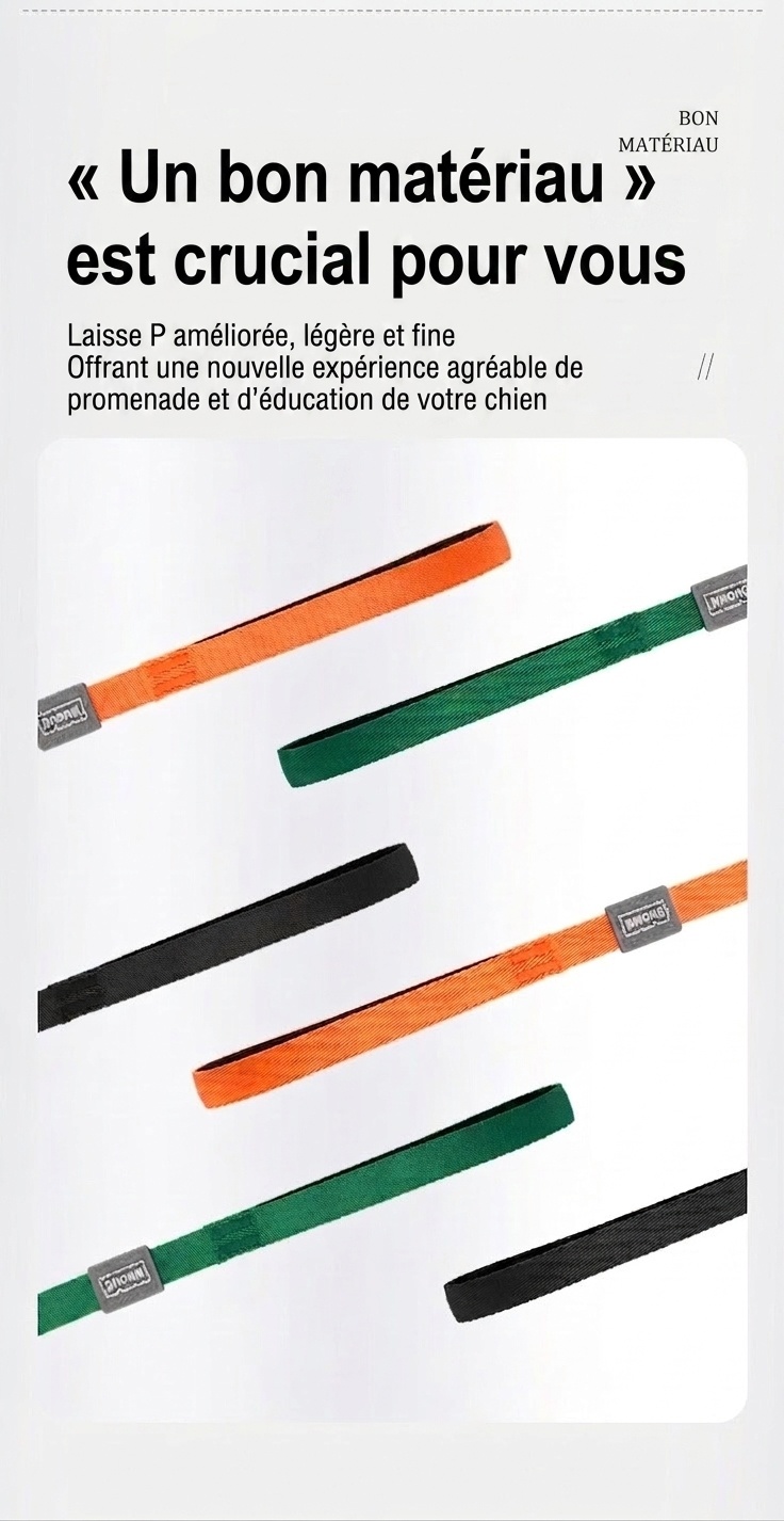 Ensemble laisse et collier en nylon pour chien, idéal pour l'éducation et la promenade.
