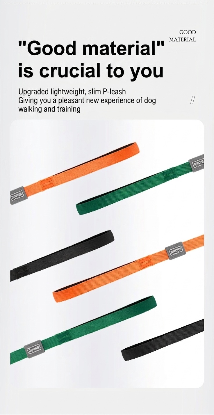 Nylon P-Rope Dog Leash & Collar Combo for Training & Walking