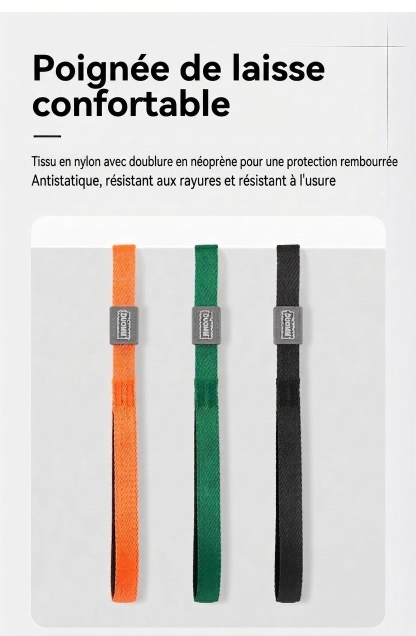 Ensemble laisse et collier en nylon pour chien, idéal pour l'éducation et la promenade.