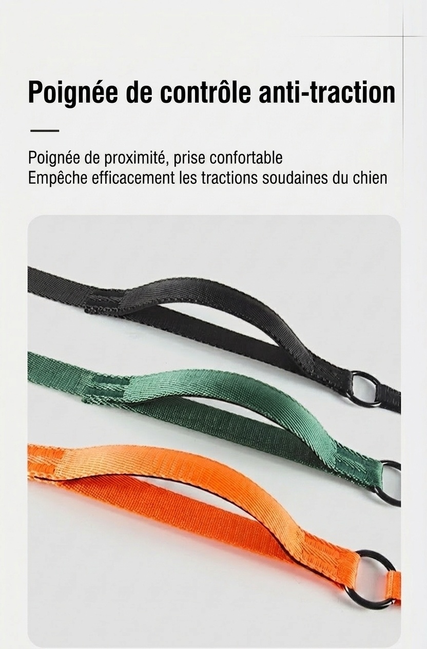 Nylon P-Rope Dog Leash & Collar Combo for Training & Walking