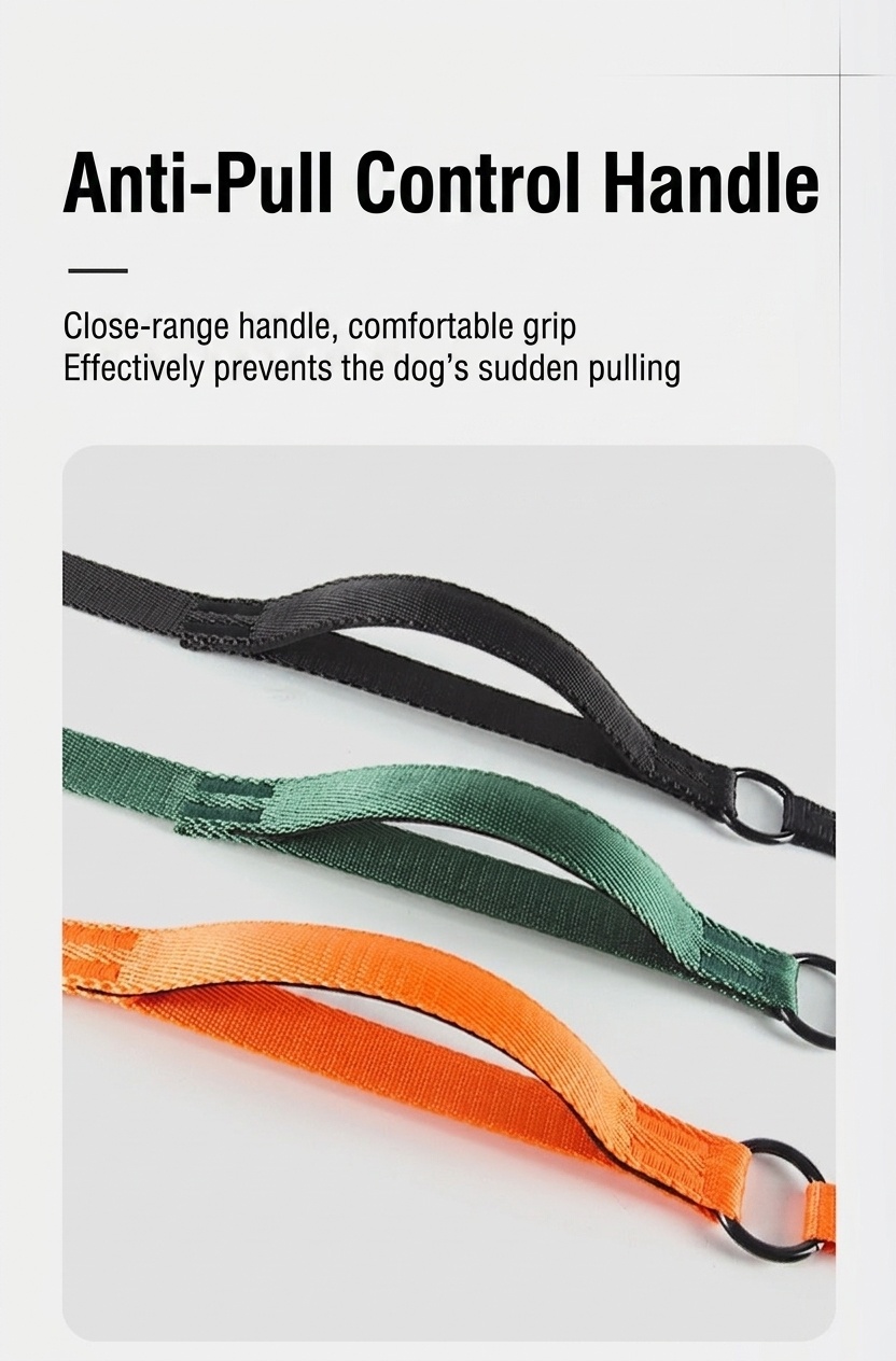 Nylon P-Rope Dog Leash & Collar Combo for Training & Walking