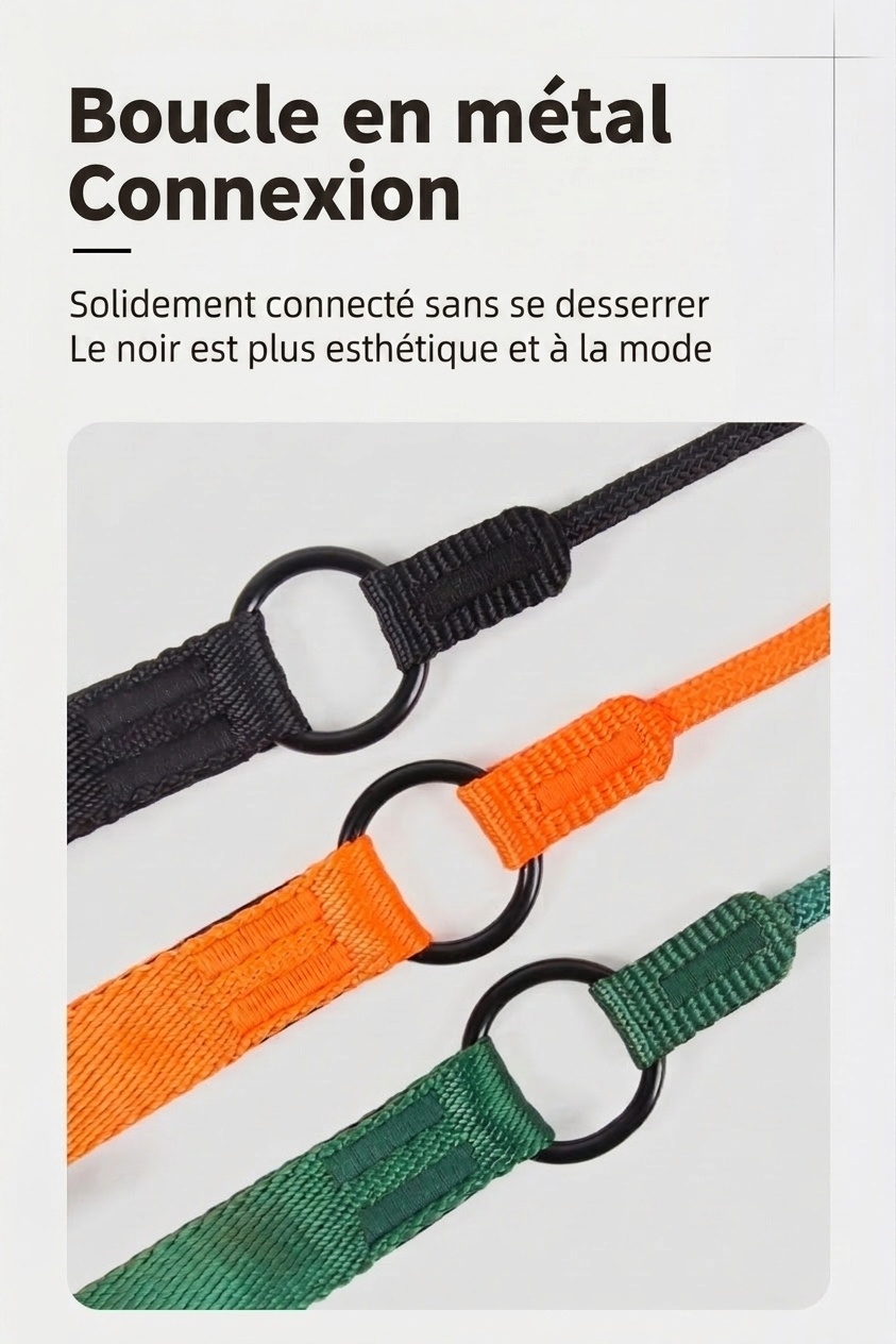 Ensemble laisse et collier en nylon pour chien, idéal pour l'éducation et la promenade.