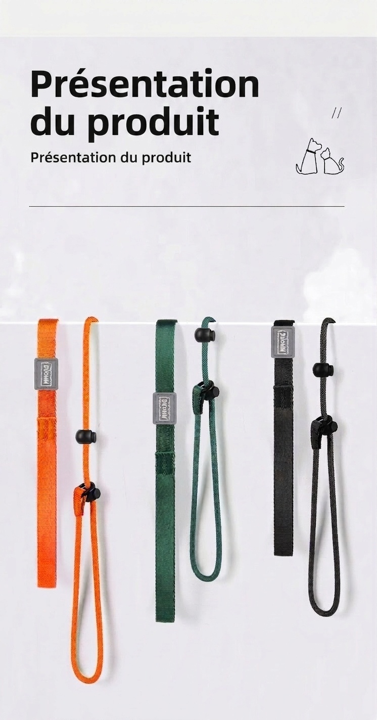 Ensemble laisse et collier en nylon pour chien, idéal pour l'éducation et la promenade.