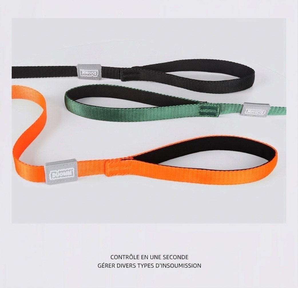 Ensemble laisse et collier en nylon pour chien, idéal pour l'éducation et la promenade.
