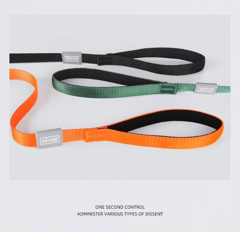 Nylon P-Rope Dog Leash & Collar Combo for Training & Walking