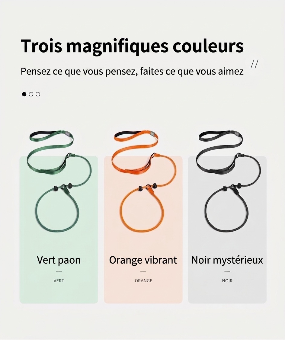 Ensemble laisse et collier en nylon pour chien, idéal pour l'éducation et la promenade.