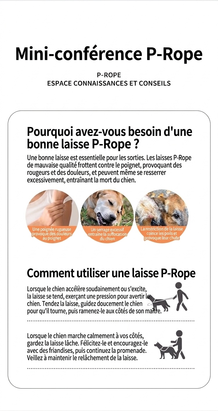 Ensemble laisse et collier en nylon pour chien, idéal pour l'éducation et la promenade.