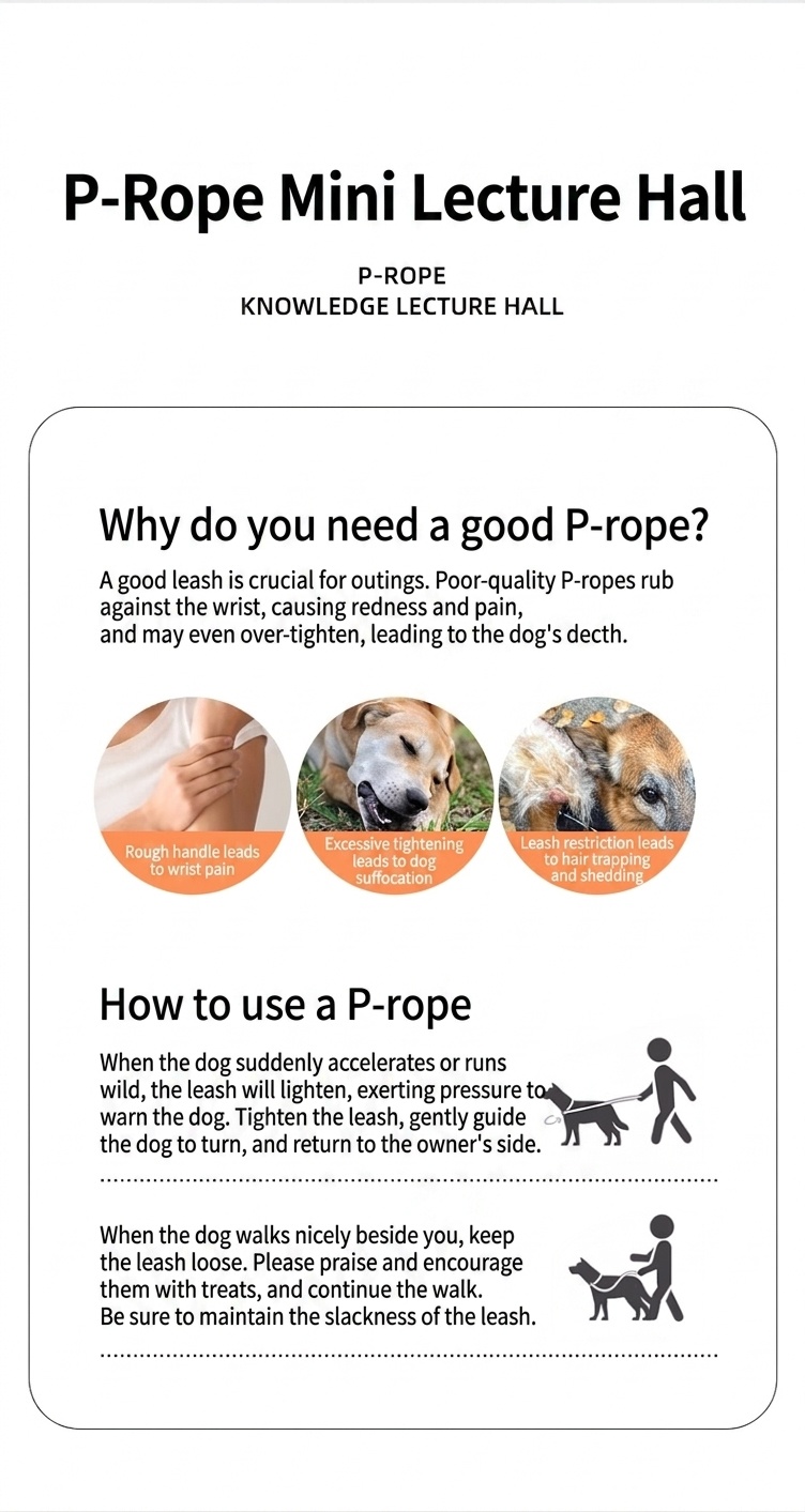 Nylon P-Rope Dog Leash & Collar Combo for Training & Walking