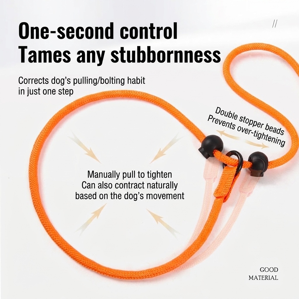 Nylon P-Rope Dog Leash & Collar Combo for Training & Walking