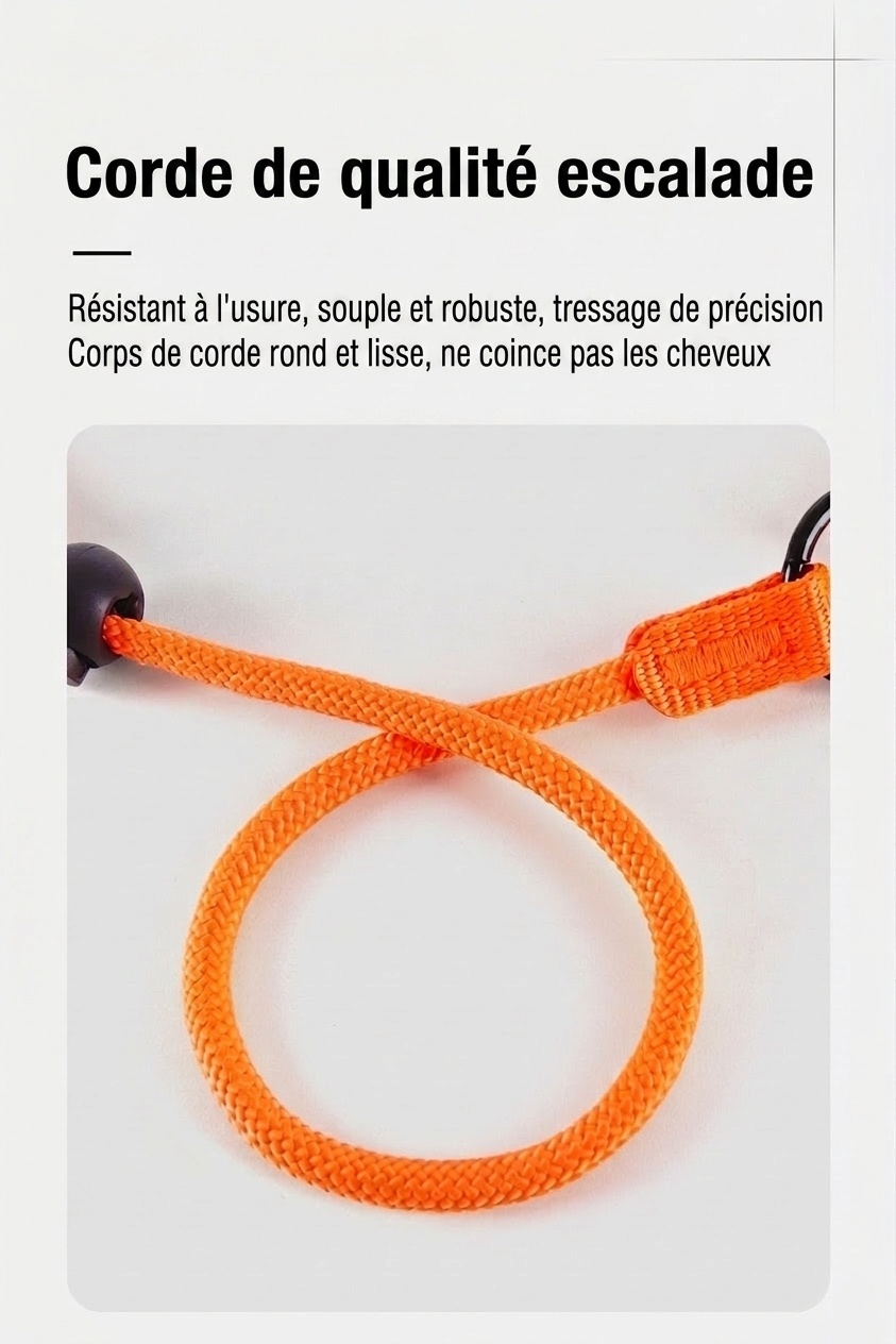 Ensemble laisse et collier en nylon pour chien, idéal pour l'éducation et la promenade.