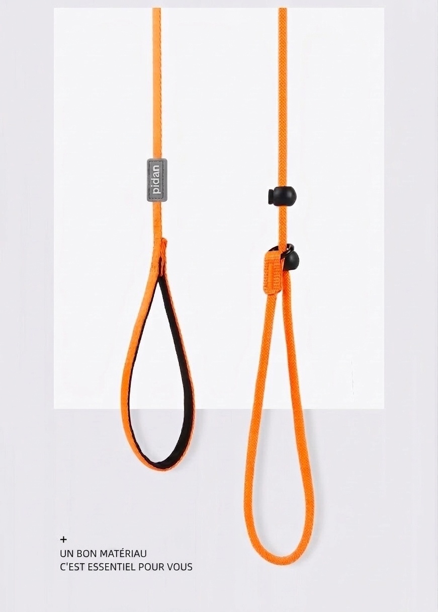 Ensemble laisse et collier en nylon pour chien, idéal pour l'éducation et la promenade.