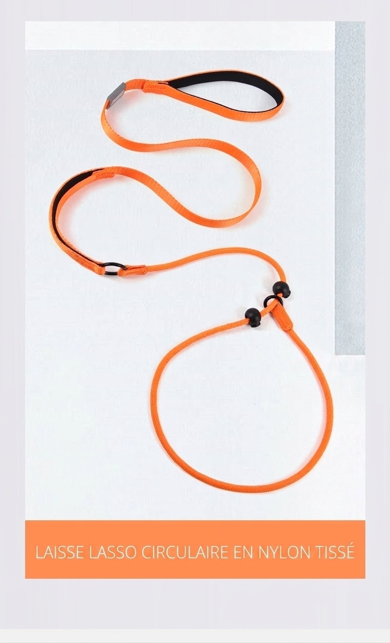 Ensemble laisse et collier en nylon pour chien, idéal pour l'éducation et la promenade.