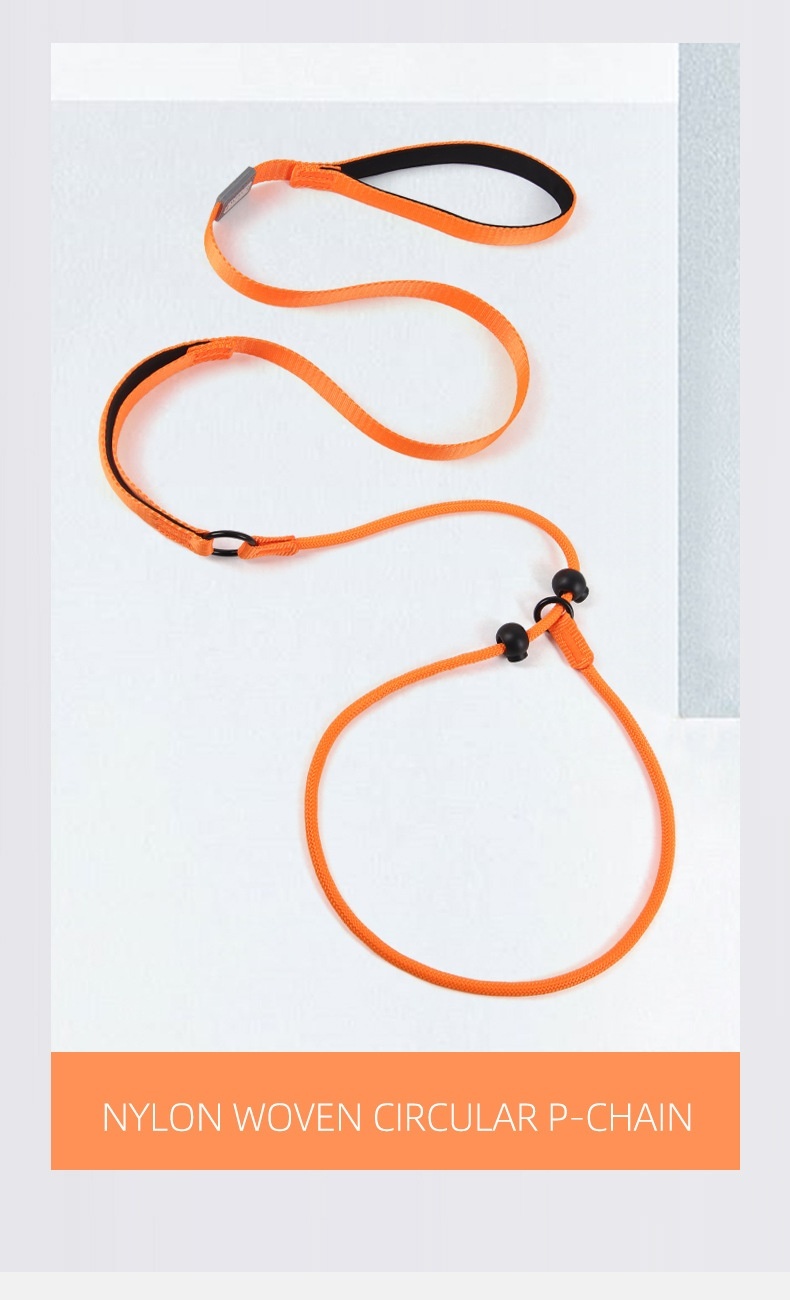 Nylon P-Rope Dog Leash & Collar Combo for Training & Walking