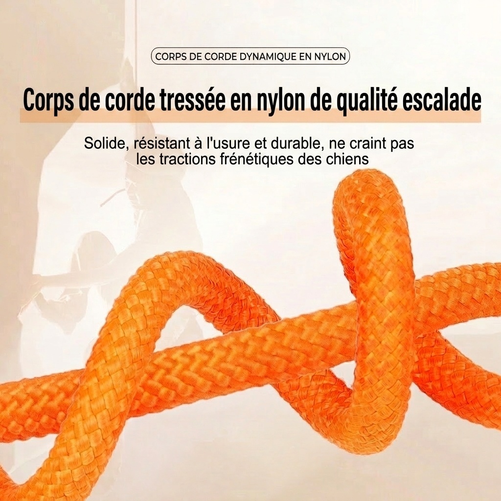 Ensemble laisse et collier en nylon pour chien, idéal pour l'éducation et la promenade.