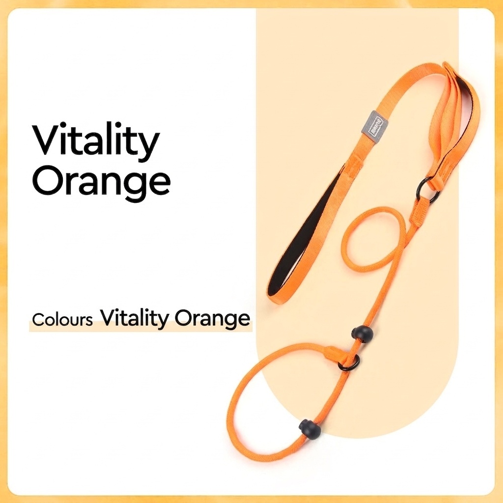 Nylon P-Rope Dog Leash & Collar Combo for Training & Walking