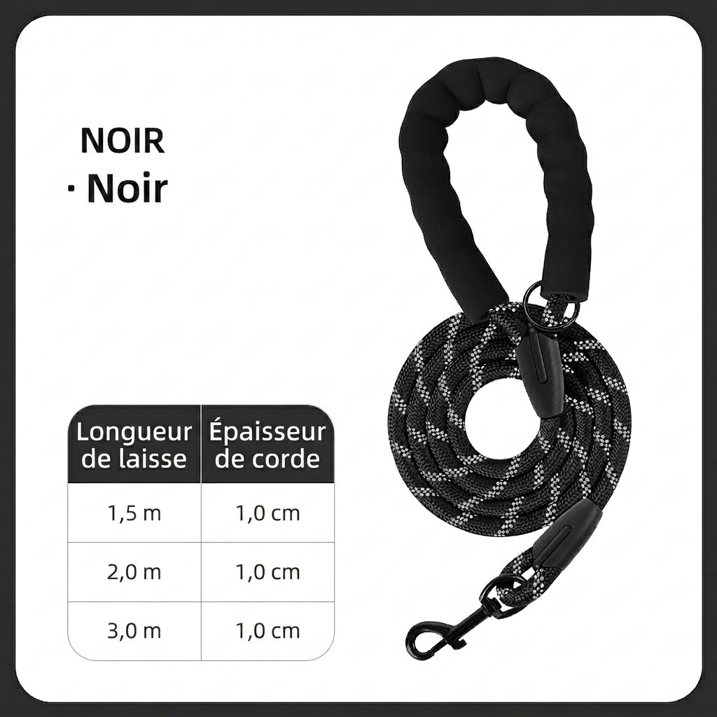 Reflective Dog Leash with Padded Handle - Durable Nylon Pet Lead