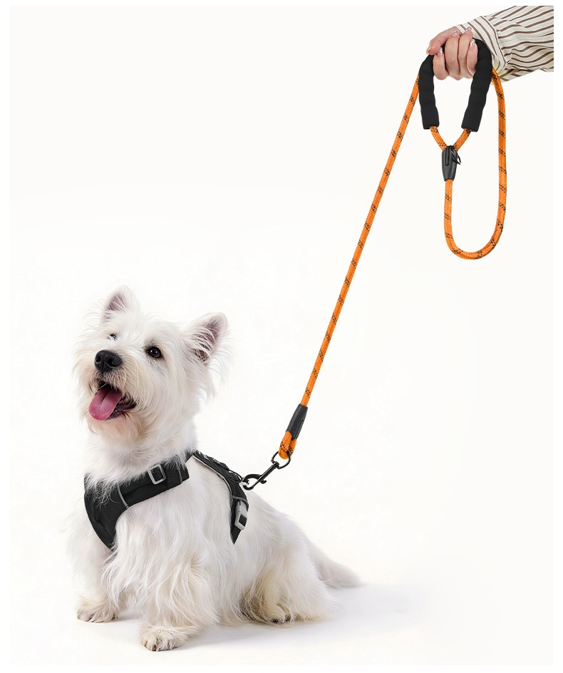 Reflective Dog Leash with Padded Handle - Durable Nylon Pet Lead