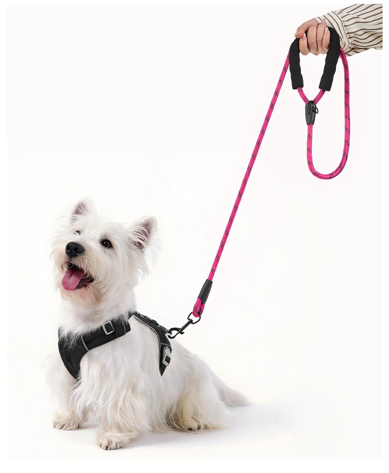 Reflective Dog Leash with Padded Handle - Durable Nylon Pet Lead