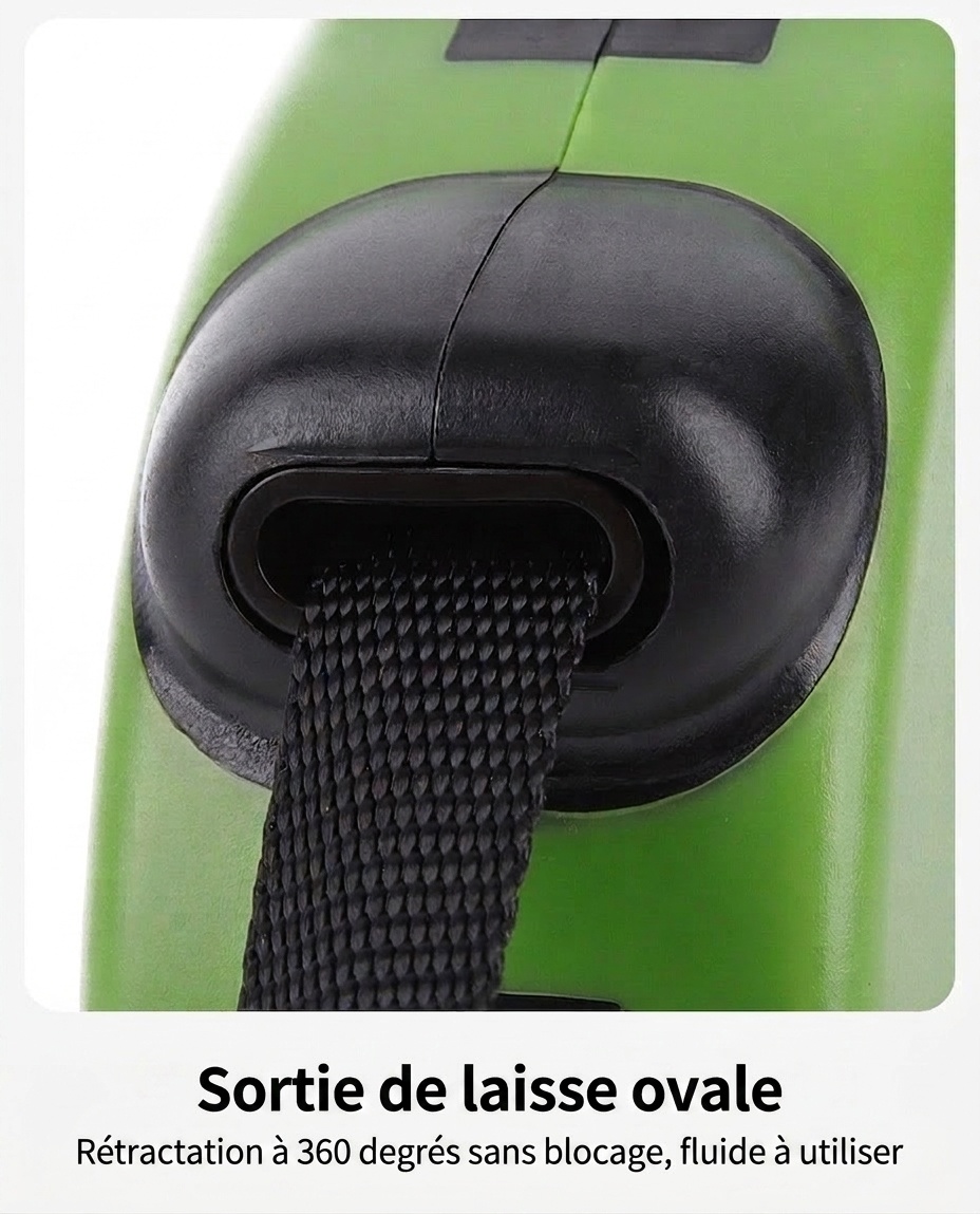 Laisse rétractable pour chien avec verrouillage à un bouton et poignée ergonomique