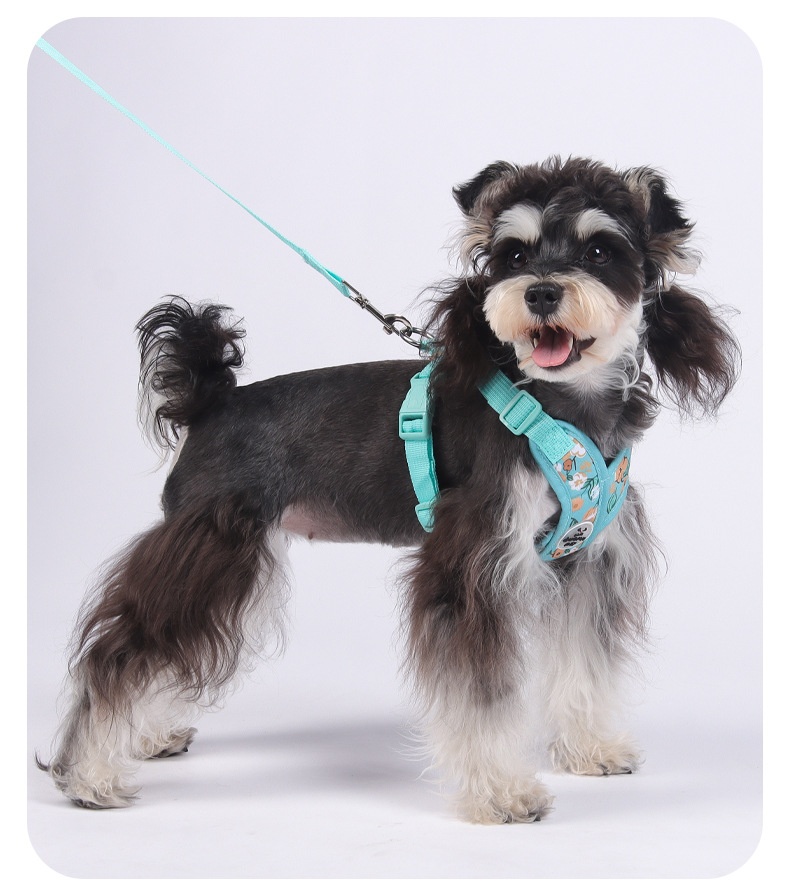 Floral X-Design Pet Floral Harness & Leash Set - Adjustable & Breathable