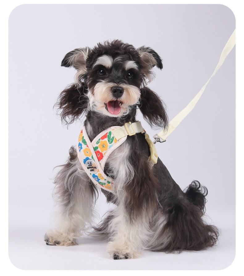 Floral X-Design Pet Floral Harness & Leash Set - Adjustable & Breathable
