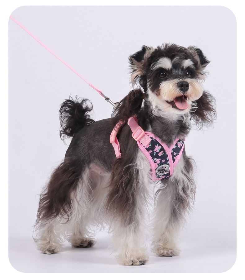Floral X-Design Pet Floral Harness & Leash Set - Adjustable & Breathable