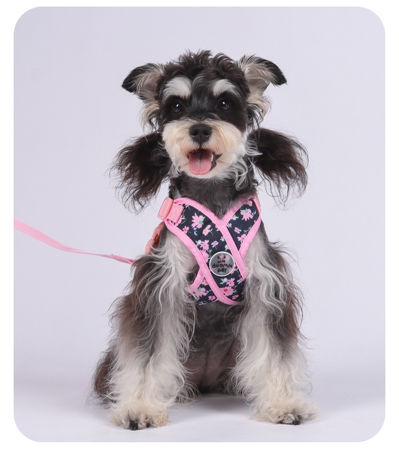 Floral X-Design Pet Floral Harness & Leash Set - Adjustable & Breathable
