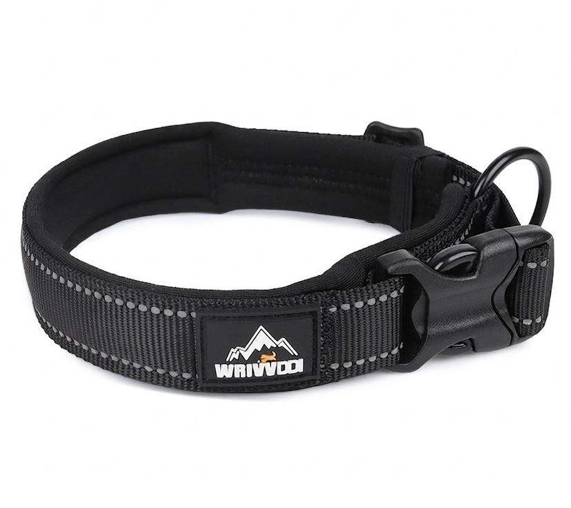 Reflective Padded Dog Collar - Adjustable & Comfortable Pet Safety