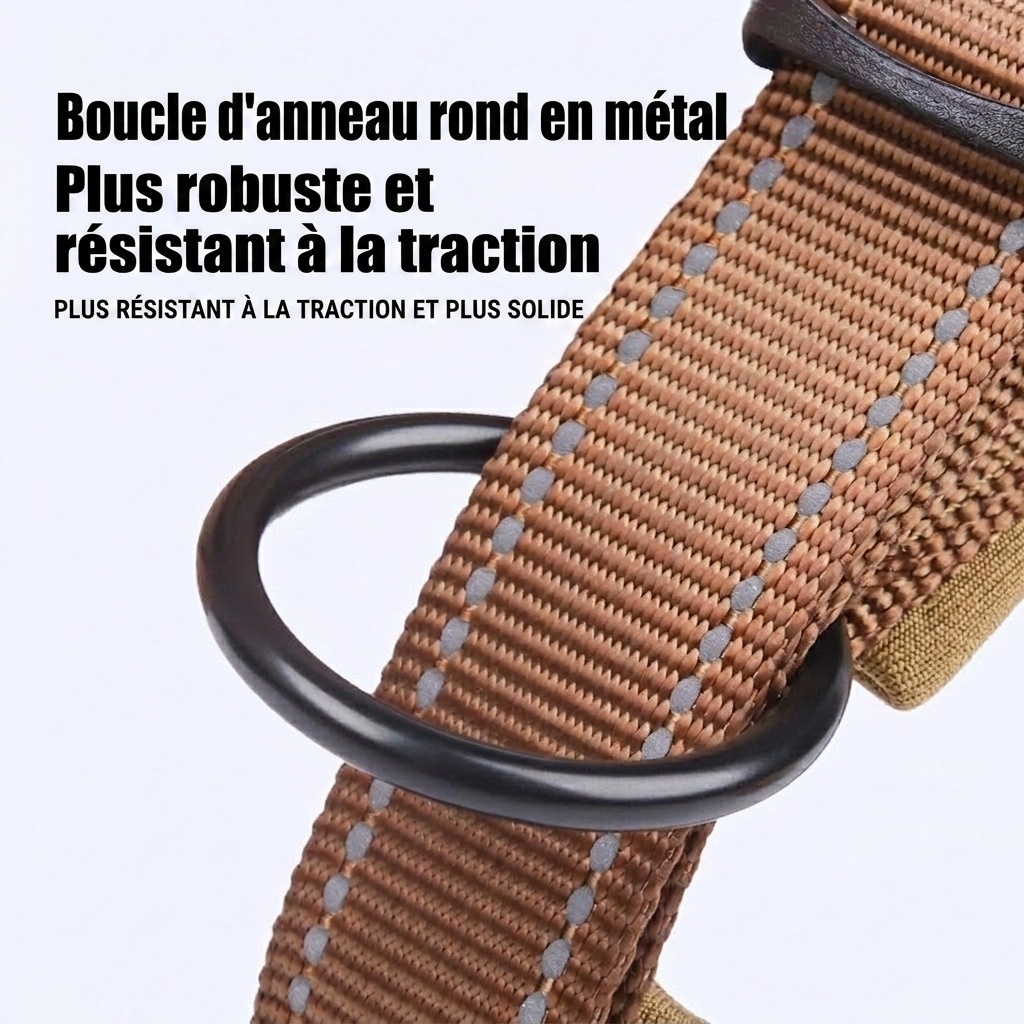 Collier réfléchissant rembourré pour chien - Ajustable et confortable pour la sécurité des animaux de compagnie