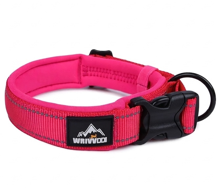 Reflective Padded Dog Collar - Adjustable & Comfortable Pet Safety