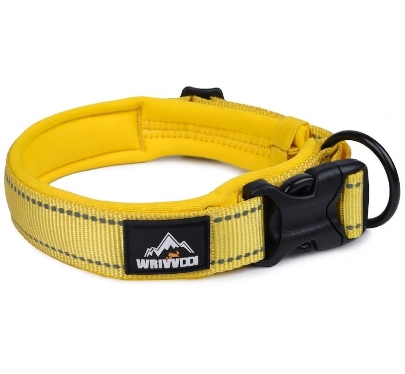 Reflective Padded Dog Collar - Adjustable & Comfortable Pet Safety