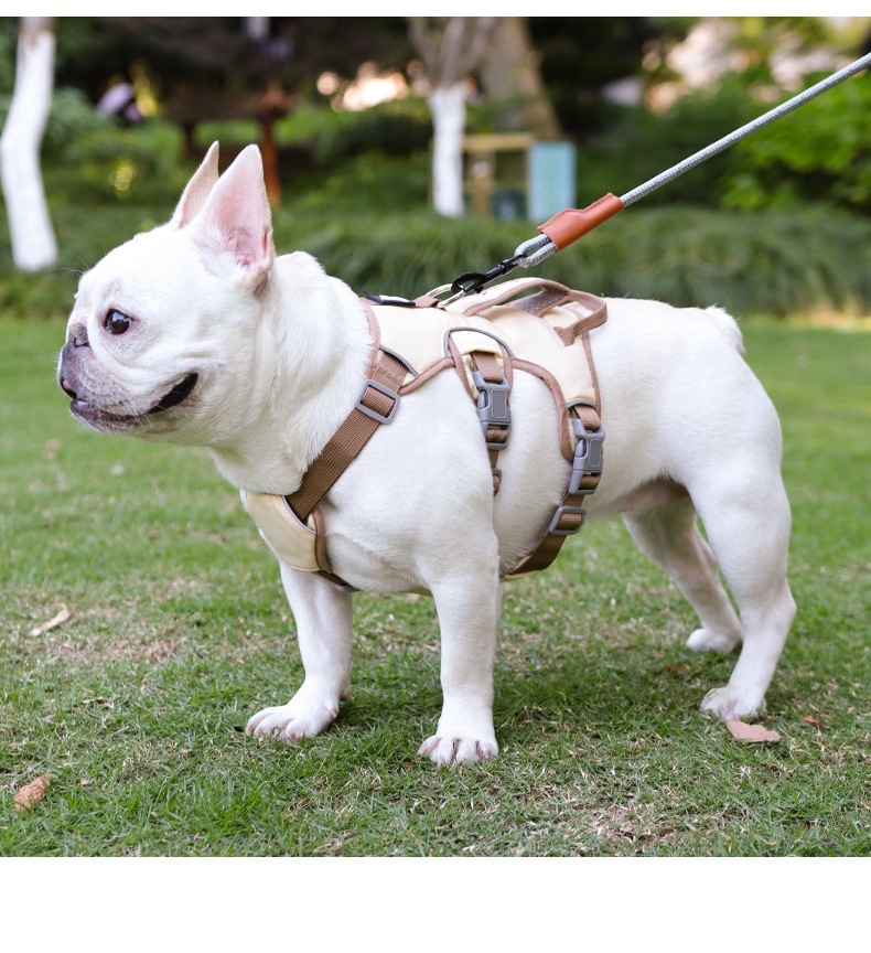 Adjustable No-Pull Dog Harness with Handle & Reflective Trim