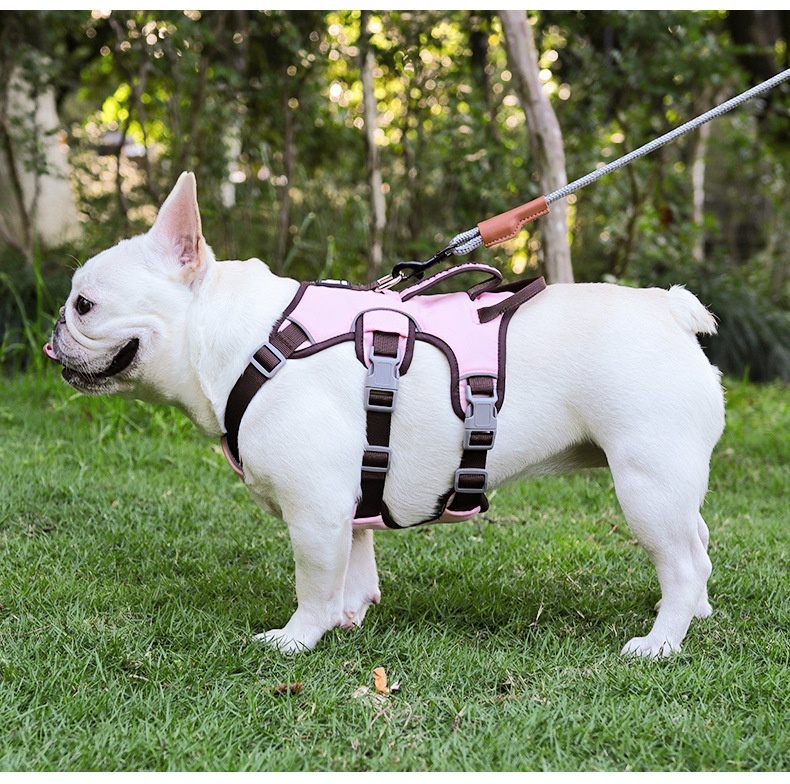 Adjustable No-Pull Dog Harness with Handle & Reflective Trim