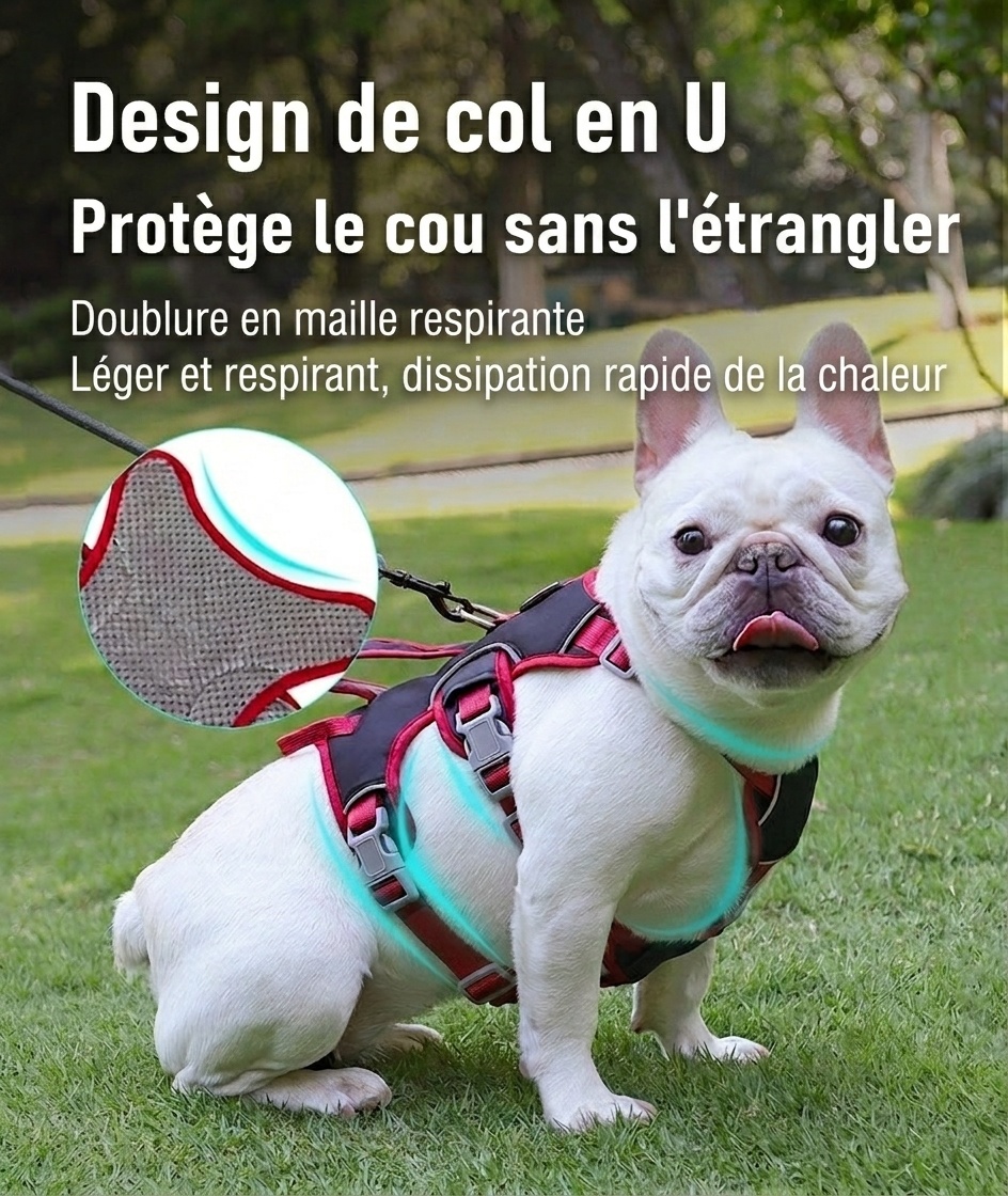Harnais pour chien réglable anti-traction avec poignée et bordure réfléchissante