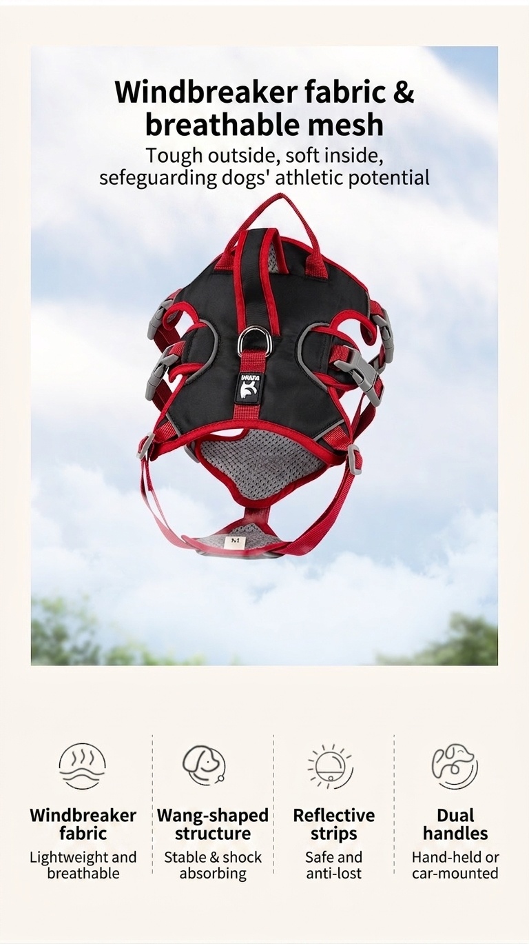 Adjustable No-Pull Dog Harness with Handle & Reflective Trim