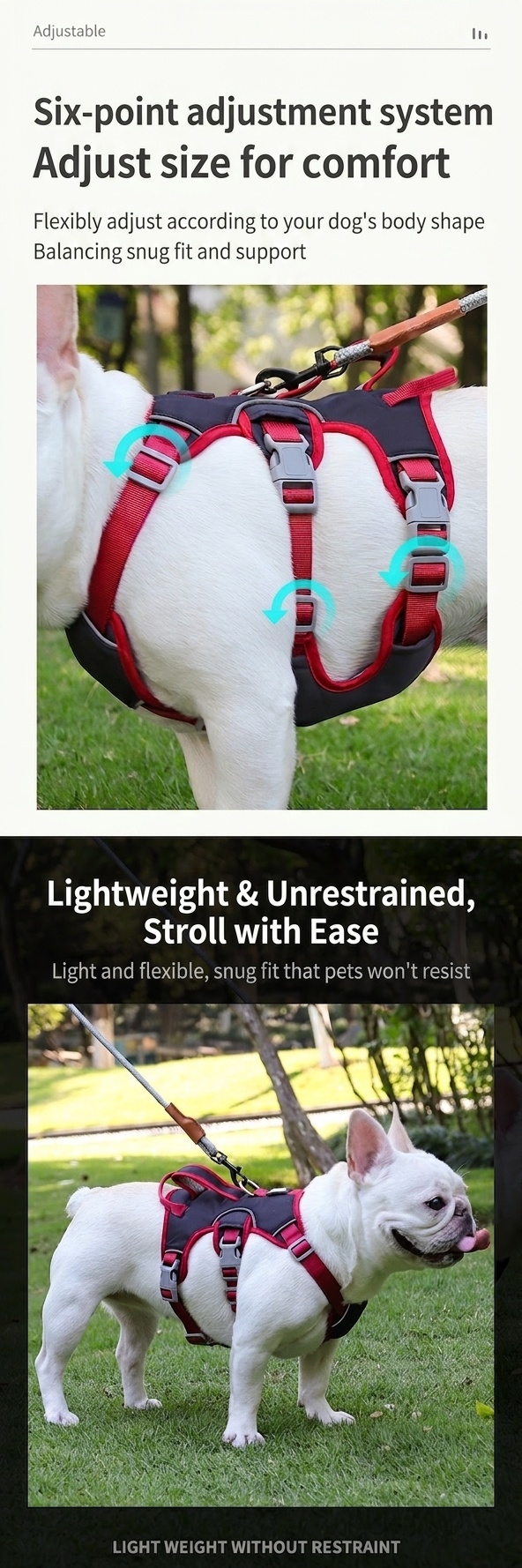 Adjustable No-Pull Dog Harness with Handle & Reflective Trim