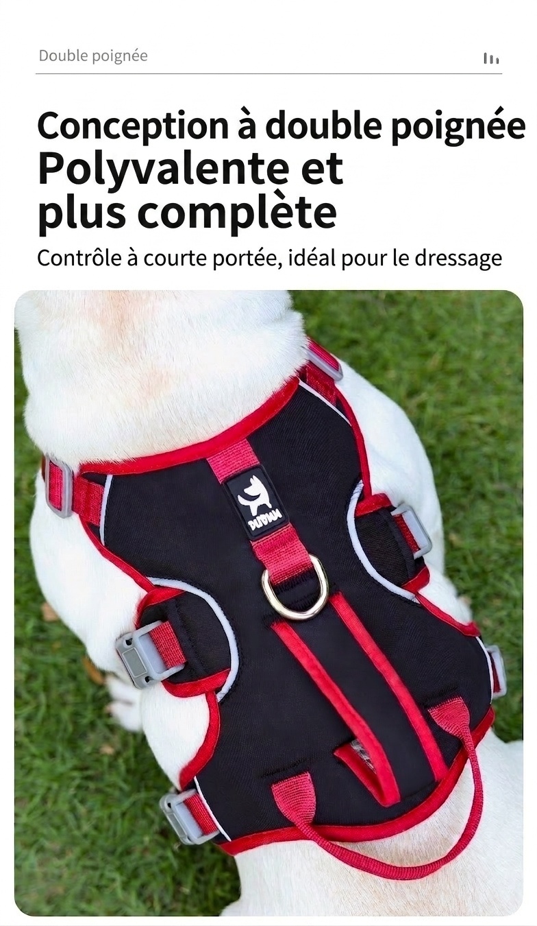 Harnais pour chien réglable anti-traction avec poignée et bordure réfléchissante