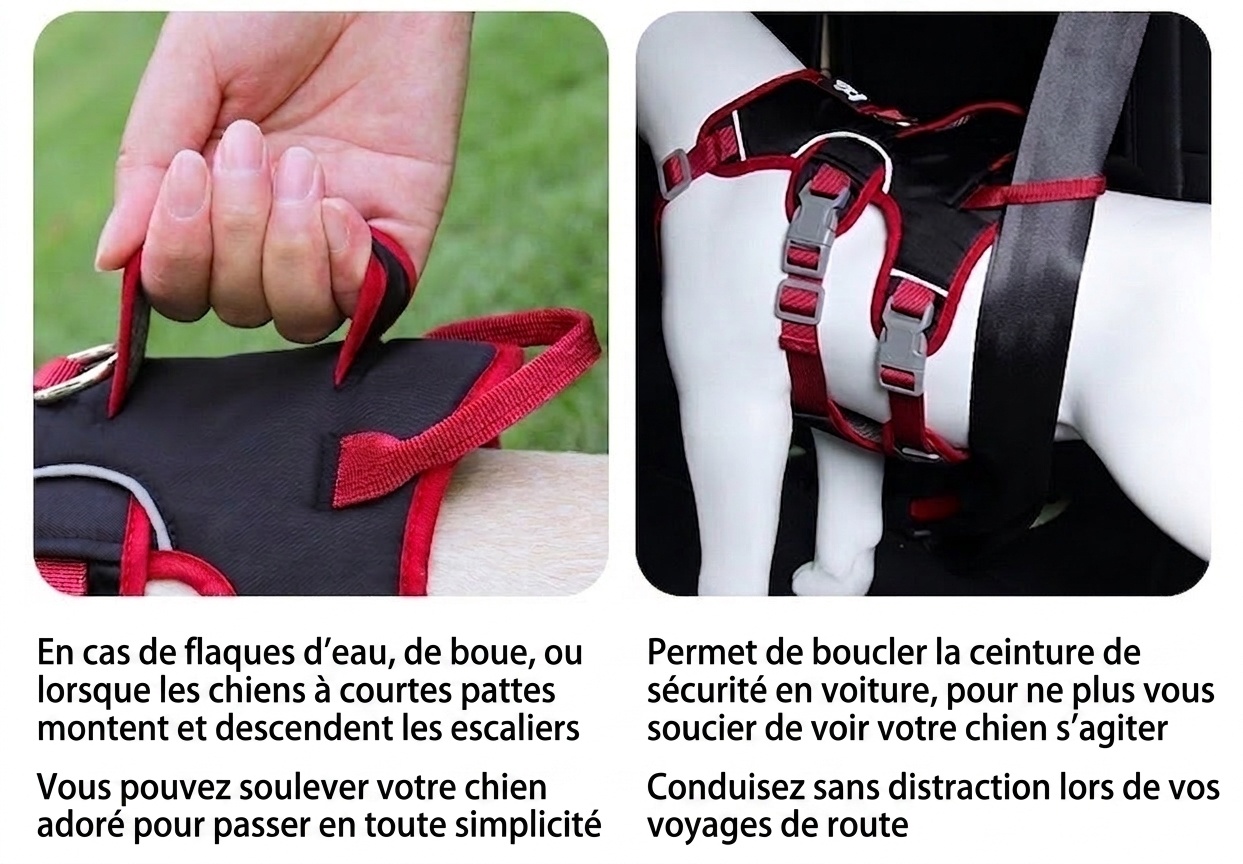 Harnais pour chien réglable anti-traction avec poignée et bordure réfléchissante