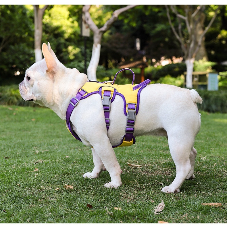 Adjustable No-Pull Dog Harness with Handle & Reflective Trim