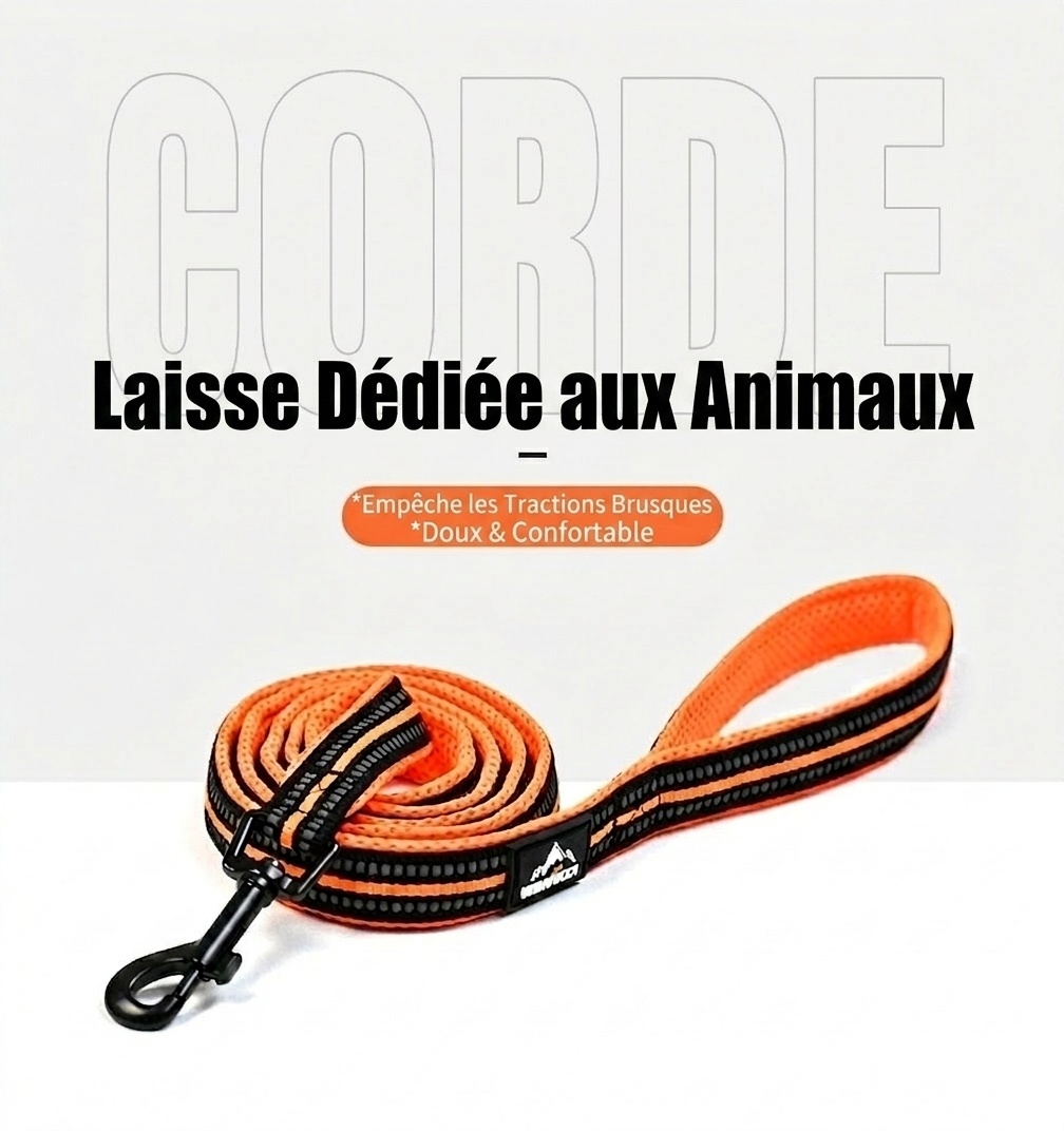 Laisse rembourrée réfléchissante pour chiens - Confort et sécurité