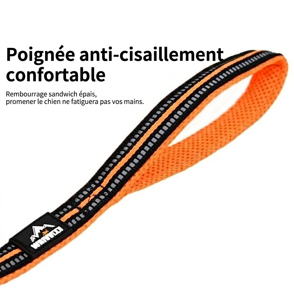 Laisse rembourrée réfléchissante pour chiens - Confort et sécurité