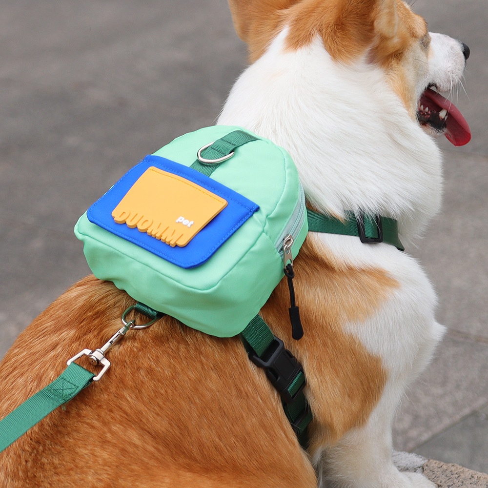 Pet Harness Backpack with Leash - Dog Walking Vest Bag