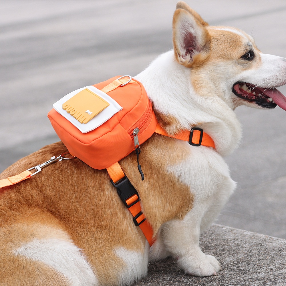 Pet Harness Backpack with Leash - Dog Walking Vest Bag