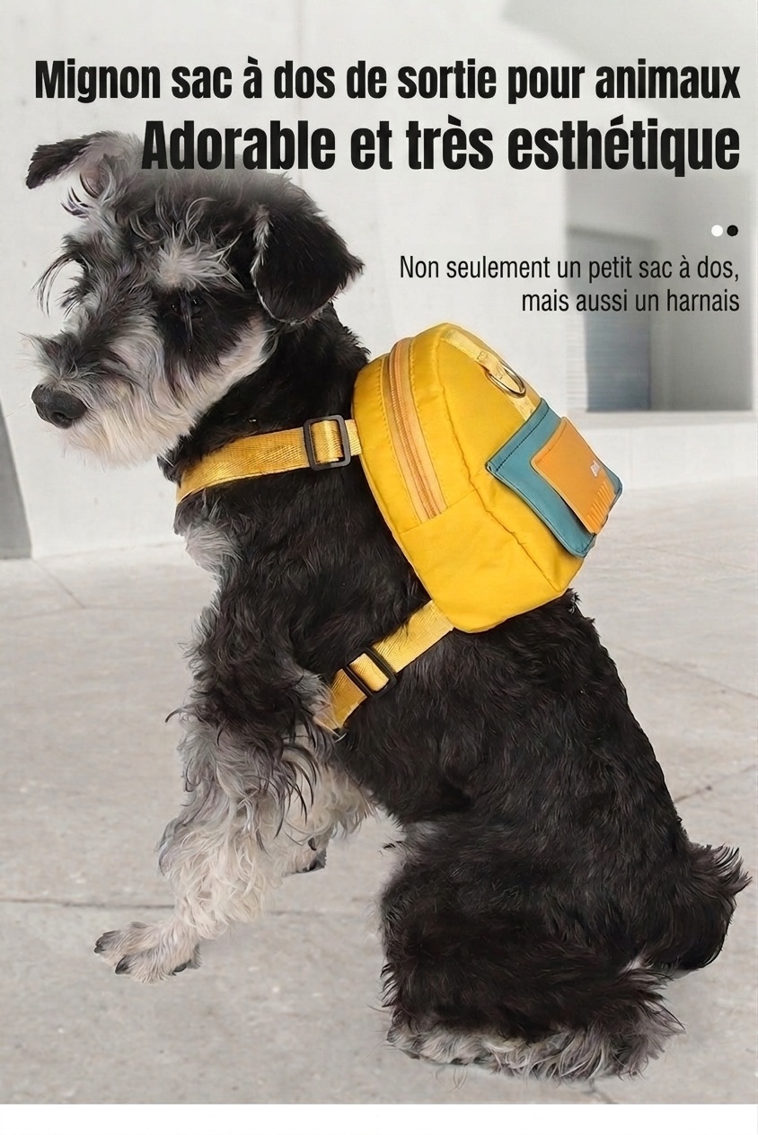Harnais sac à dos pour animaux avec laisse - Gilet de promenade pour chien