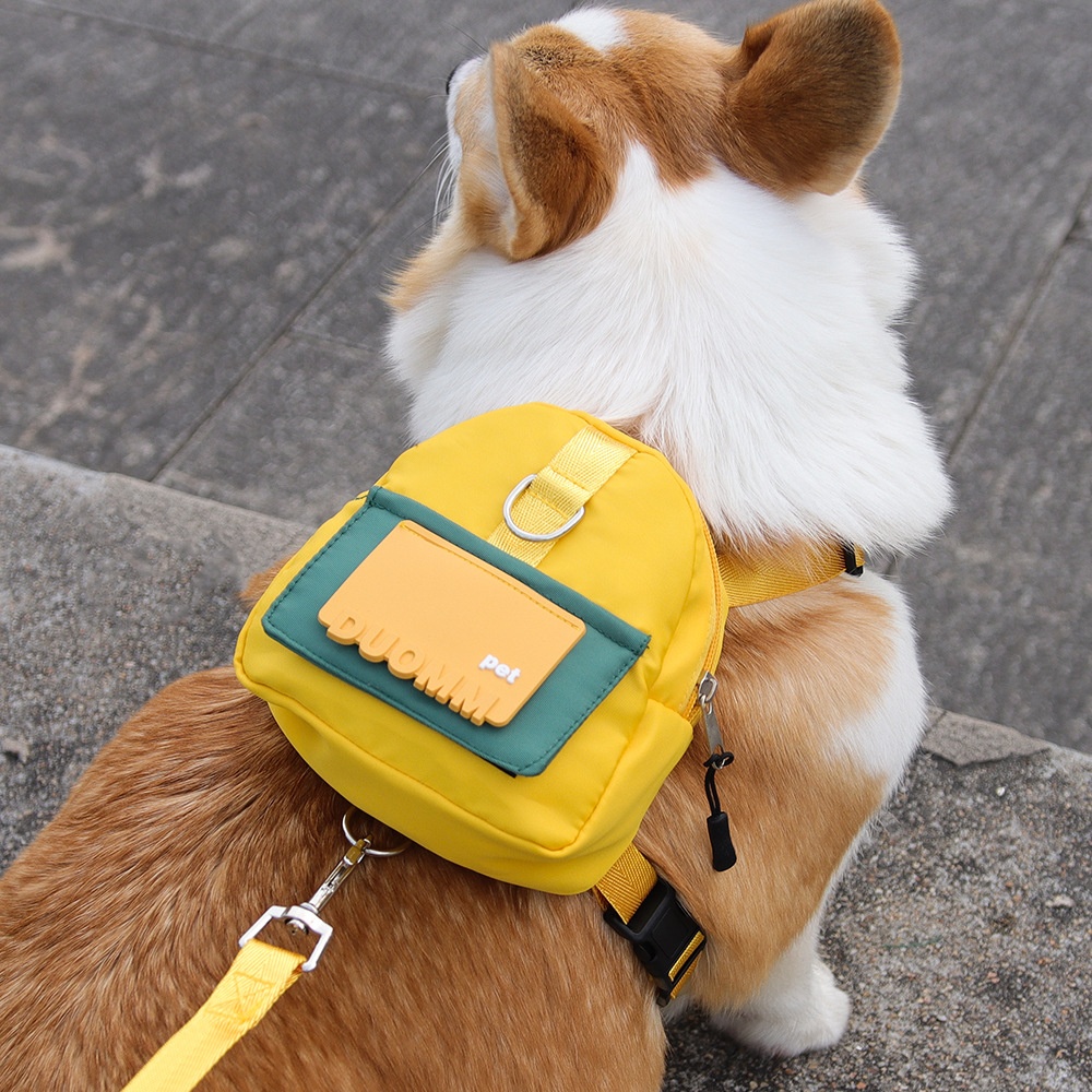 Pet Harness Backpack with Leash - Dog Walking Vest Bag