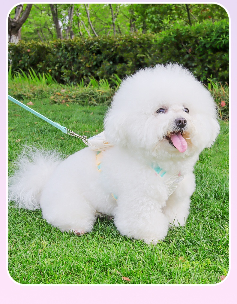 Adjustable Pastel Pet Harness & Leash Set with Mini Backpack