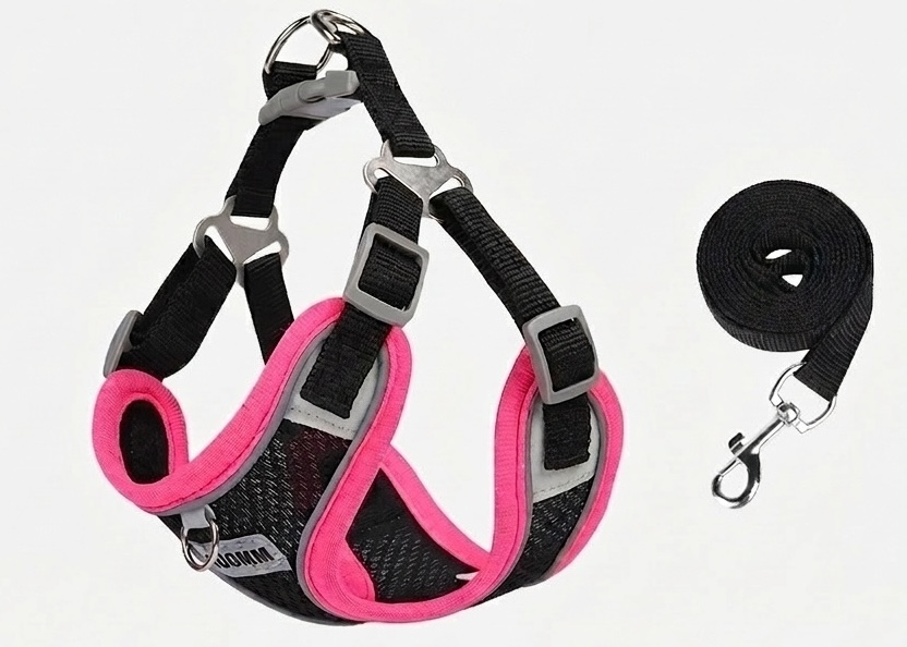 Breathable Reflective Pet Harness & Leash Set - No-Pull Design