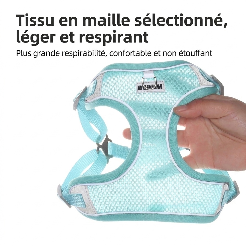 Ensemble harnais et laisse réfléchissants et respirants pour animaux de compagnie - Modèle anti-traction